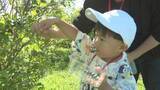 「ブルーベリーの摘み取り体験始まる　くじゅう花公園で8月中旬まで　大分」の画像1