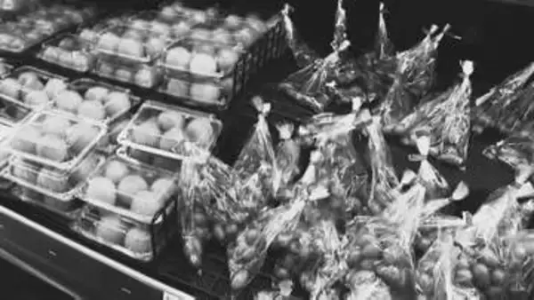 プラスチック大国・日本の危機「レジ袋有料化、貢献していない」本当に見直すべきライフスタイルとは