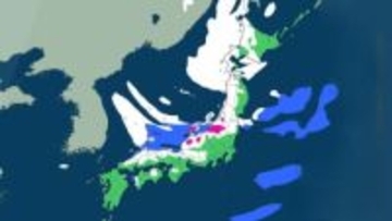 【大雪情報】3連休は「成人の日」にかけ大荒れ　東北100cm、北陸・東海・近畿70cm、北海道・関東甲信50cm超の警報級の大雪か【雪と雨のシミュレーション】