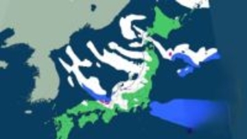 【大雪情報】29日から再び大雪のおそれ　北陸70cm、近畿50cm予想　日本海側は交通障害に警戒【最新 雪雨シミュレーション】