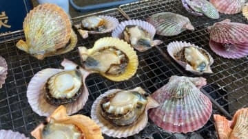 ブリのつかみ取りに歓声　大分県佐伯市でおさかなまつり