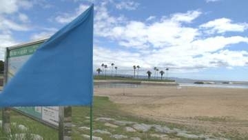 大雨で遊泳禁止の田ノ浦ビーチが10日から再開　4トントラック2台分の漂流物を撤去　大分