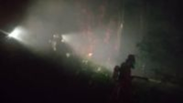 牛のエサ用わらを保管する倉庫全焼　竹やぶにも燃え移る