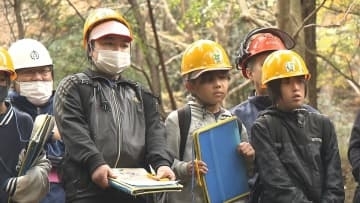 小学生が林業の仕事を学ぶ　大型機械による伐採現場を見学　大分
