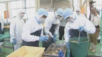 短大と高校が「魚醤」開発スタート　マダイ、トビウオ、イカの3種類で仕込み　大分