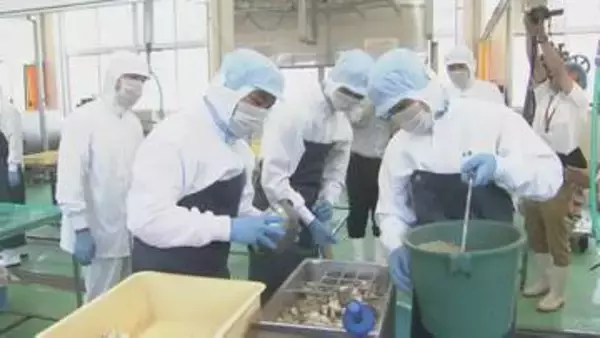 短大と高校が「魚醤」開発スタート　マダイ、トビウオ、イカの3種類で仕込み　大分