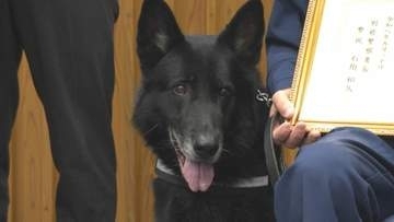 “驚異の嗅覚”警察犬セレスティオ号　目撃情報とは真逆の方向へ…行方不明者をスピード発見　2度目のお手柄