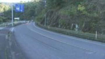 国道上にいた大学生　大型トラックにはねられ死亡　大分