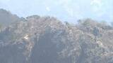 「登山中に数十メートル下の崖に転落か　福岡県の52歳男性が死亡　祖母・傾山系」の画像1