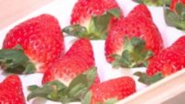 大分いちご旬入り宣言　ベリーツ1箱27万円の高値も　出荷量増加へ