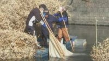 伝統のシロウオ漁が最盛期　昔ながらの漁法を後世へ　大分・佐伯市