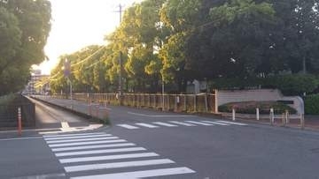 自転車の男子高校生をはねて逃走　ひき逃げ容疑で60歳男を逮捕　容疑を一部否認　大分