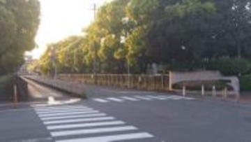 自転車の男子高校生をはねて逃走　ひき逃げ容疑で60歳男を逮捕　容疑を一部否認　大分