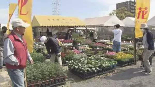 「おおいた人とみどりふれあいいち」開催　庭木など展示・販売　初日は苗木400本を無料配布