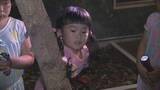 「「かぶとむしふれあい館」プレオープン　子どもたちが“夜の生態”を観察　大分」の画像1