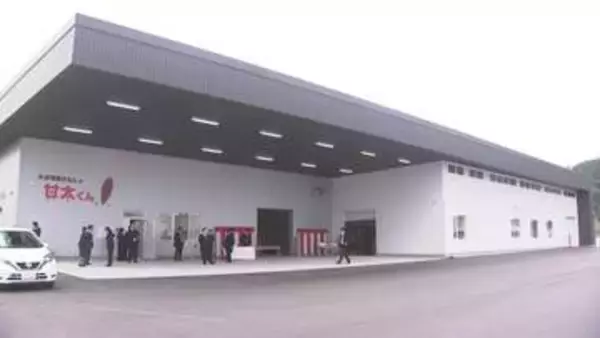 ブランドサツマイモ「甘太くん」安定出荷へ　広域選果場完成　大分・臼杵市