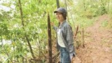 別府の湯けむりが育む「地獄蒸しメンマ」放置竹林を宝に変える　横浜からの移住女性が奮闘