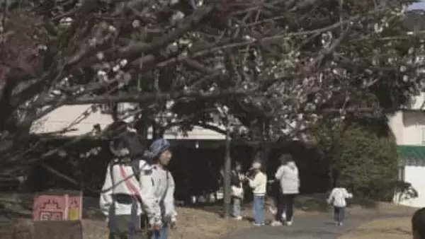 春の暖かさ　大分市で15.6度を記録　24日からは一転して雨の見込み