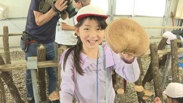 小学生が地元特産しいたけを収穫　「さらさらして気持ちいい」　少雨の影響で収穫量は8割程度　大分・豊後大野市