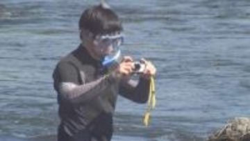 アユ漁解禁を前に生育状況調査　例年並みの生育確認　大分・日田市