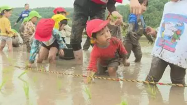 園児が田植え体験　初めての体験に「ぬるぬるしてこわい」　大分