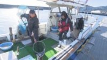 大規模火災の佐賀関 年末年始用の魚出荷はじまる 大分