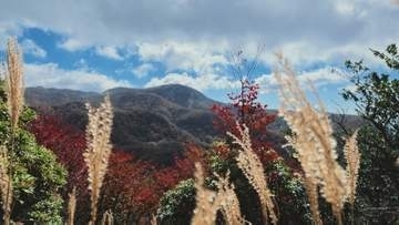 「山全体がパッチワークみたい」標高1500メートル付近で鮮やかな紅葉、登山客が絶景楽しむ　沓掛山