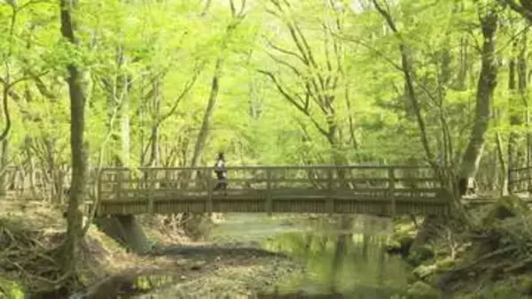 くじゅう連山「黒岳」で山開き　100人超の登山客でにぎわう　シャクナゲも見頃　大分