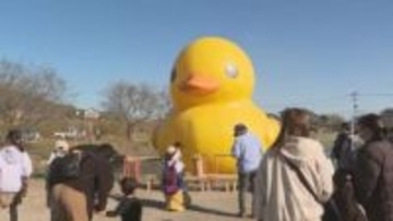 見納めの巨大ラバーダックに大勢の来場者　国東半島芸術文化祭フィナーレ　大分