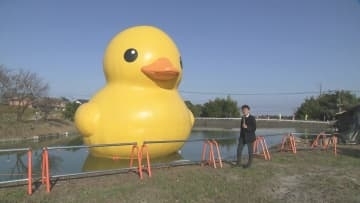 巨大アヒル「ラバーダック」九州初上陸　国東半島芸術文化祭の目玉展示　大分