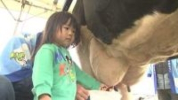 「乳搾り」体験イベント　餌や資材高騰で厳しい酪農への理解と消費拡大へ　大分