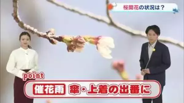 「【光岡気象予報士のお天気解説】３月２５日（水）は「催花雨　傘・上着の出番に」岡山・香川の桜開花は？」の画像