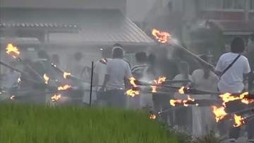 たいまつを手に田んぼのあぜ道を歩く「虫送り」　小豆島で害虫を追い払い五穀豊穣を願う伝統行事【香川】