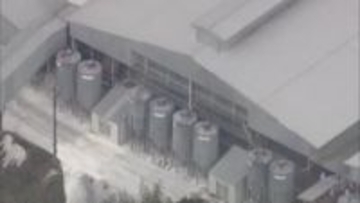 津山市の養鶏場で鳥インフルエンザ　約４３万羽の殺処分続く　全体の６．５１％終了【岡山】