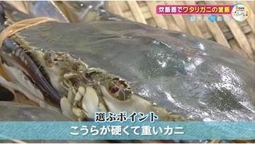 【瀬戸内旬紀行】秋のごちそう「ワタリガニ」のうま味を丸ごと堪能　炊飯器で作る絶品釜飯【岡山・香川】