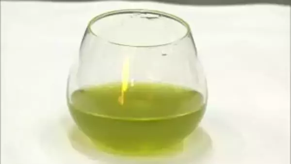 暑さ続きで良質なオリーブから最高のオリーブオイルへ　小豆島町で搾り出し作業最盛期【香川】