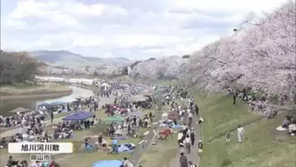 岡山市の旭川河川敷　花見客でにぎわう…イベント最終日　岡山後楽園の桜は「散り始め」【岡山】