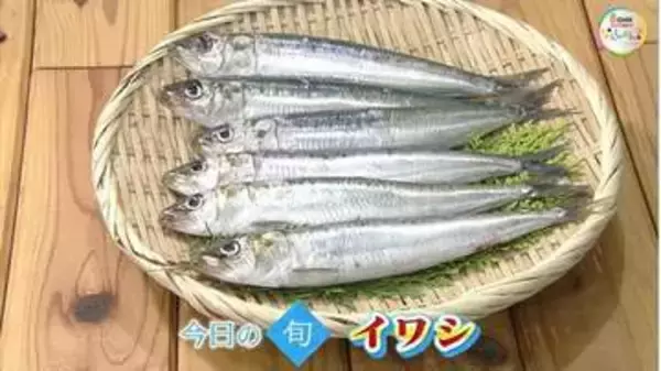 脂のり抜群な旬の魚「イワシ」　“身近で貴重”な青魚をショウガ煮で味わう【瀬戸内旬紀行　岡山・香川発】