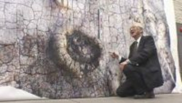 約１億２０００年前の生態系の謎解明する発見…岡山理科大の研究グループが大型肉食恐竜の足跡発見【岡山】