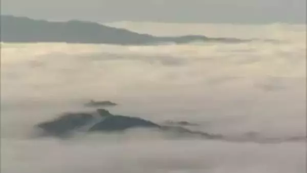 幻想的な景色広がる…今シーズン初めて　岡山県北の津山盆地に雲海現る