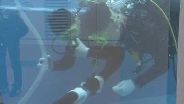 ダイバ―や飼育員など夢を持つ高校生に経験を　宇多津町の水族館でペンギンプール清掃の潜水実習【香川】