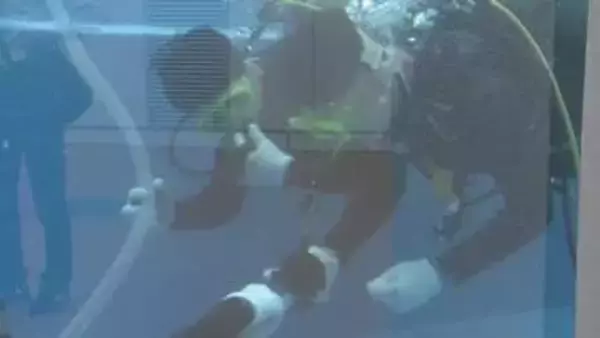 ダイバ―や飼育員など夢を持つ高校生に経験を　宇多津町の水族館でペンギンプール清掃の潜水実習【香川】