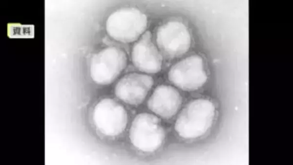 岡山県が過去１０年で最も早く「インフルエンザ警報」を発令　手洗いやマスクの着用など対策を【岡山】