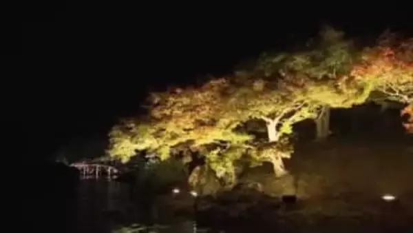 高松市・栗林公園の秋のライトアップ　期間中入園者数は０１年の開始以降最多の６万６８００人【香川】