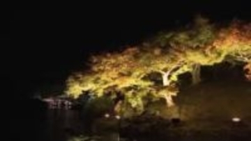 高松市・栗林公園の秋のライトアップ　期間中入園者数は０１年の開始以降最多の６万６８００人【香川】