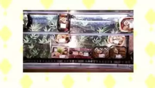 スーパーなどの値引き販売情報をスマホで確認…岡山大学がスーパーなどと食品ロス削減の取り組み【岡山】