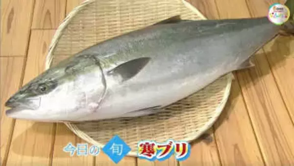 【瀬戸内旬紀行】脂が乗って濃厚な味わい！市場のプロに聞く冬の味覚「寒ブリ」の選び方【岡山・香川】