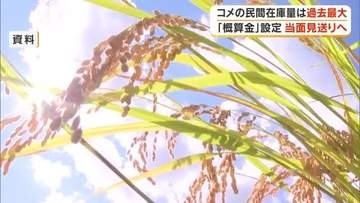 「コメ余り」で…ＪＡ晴れの国岡山、２０２６年産米の概算金設定困難として異例の「見送り」【岡山】