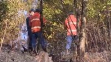 美咲町の棚田が広がる地域で枯れ草や山林など約２ヘクタールを焼く火災　女性１人の遺体を発見【岡山】