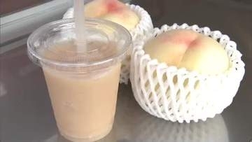 総社市で県産モモ「清水白桃」の即売イベント「白桃フェス」に約３０００人が来場　グルメも満喫【岡山】